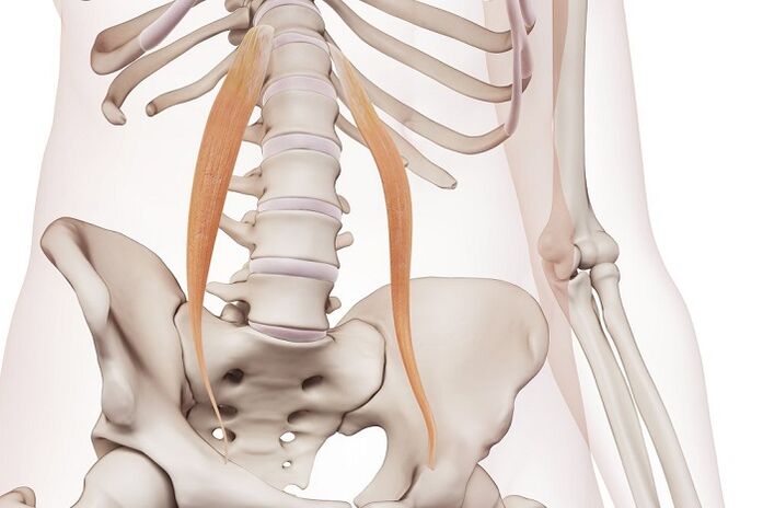 The essence of the spinal osteocondrosis in the Lomber region