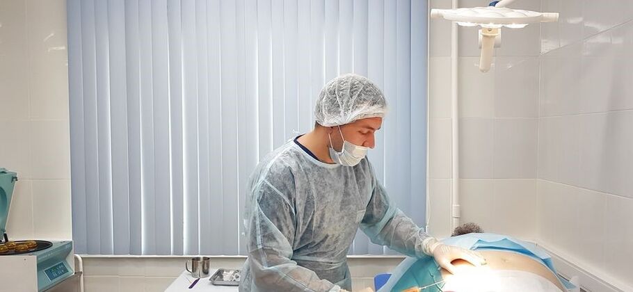 A model of transition tissue for SVF therapy of osteoarthritis of the knee joint